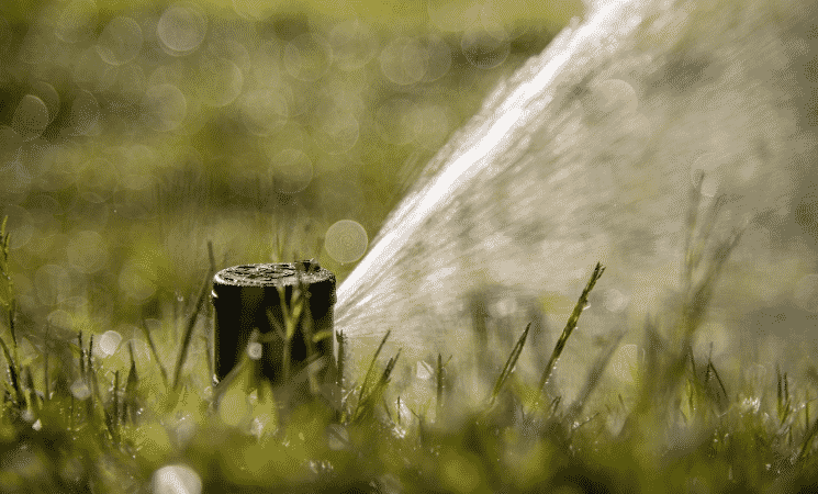 3 Lawn Sprinkler Maintenance Tips-sprinkler head watering the lawn