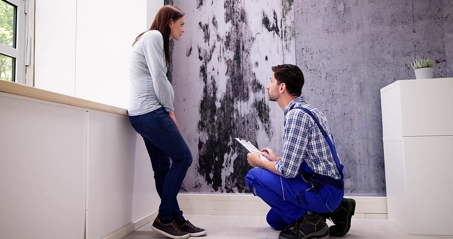 Preventing Mold Growth: Tips for Homeowners