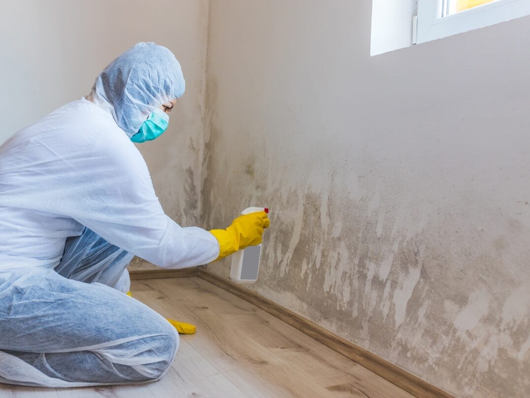 A professional in protective gear applying a solution to a moldy wall in a residential home.